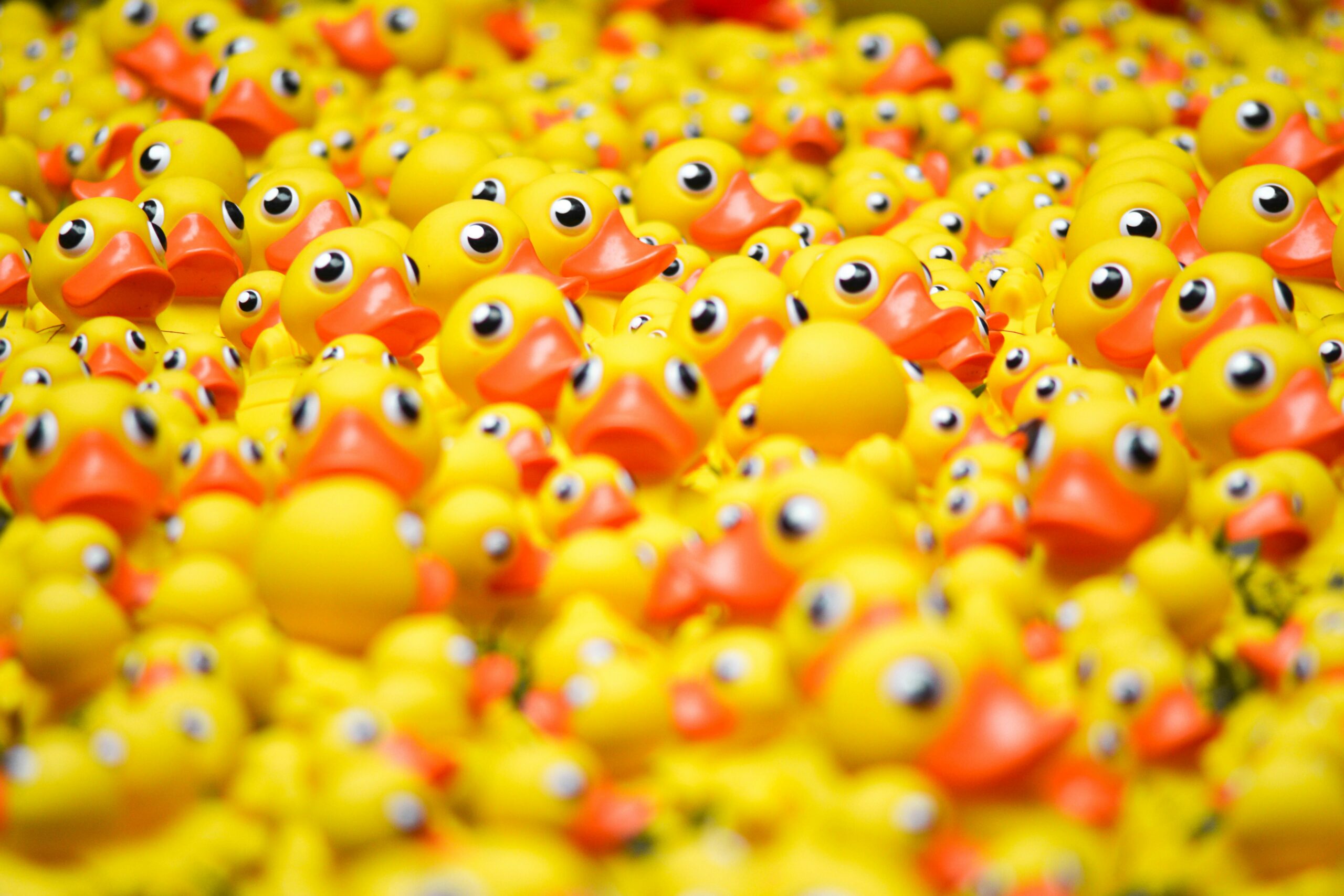 Slew of yellow rubber duckies filling the whole image
