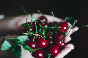Two hands cupped holding some beautiful red cherries with leaves attached